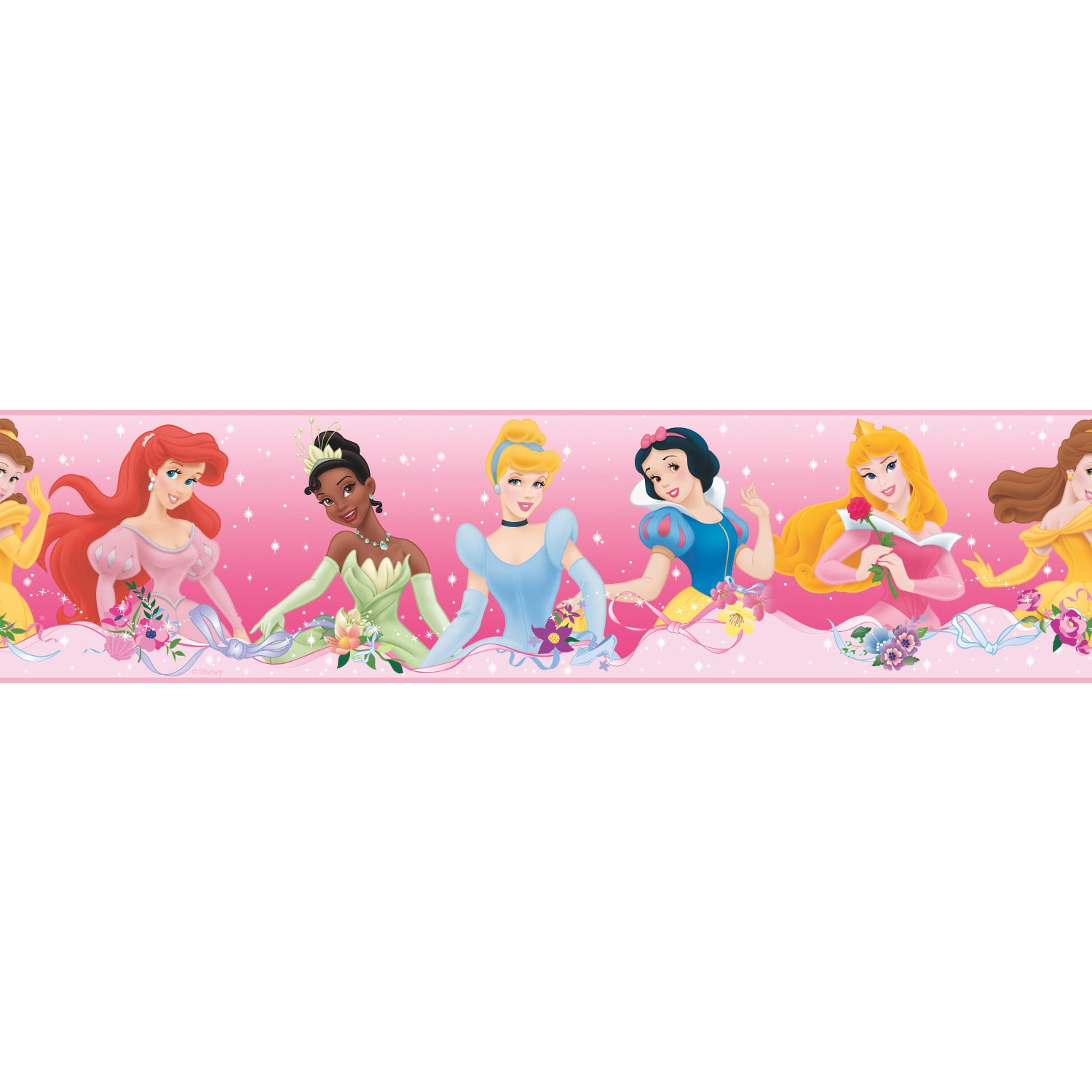 Disney Princess Dream From The Heart Borders by WallPops