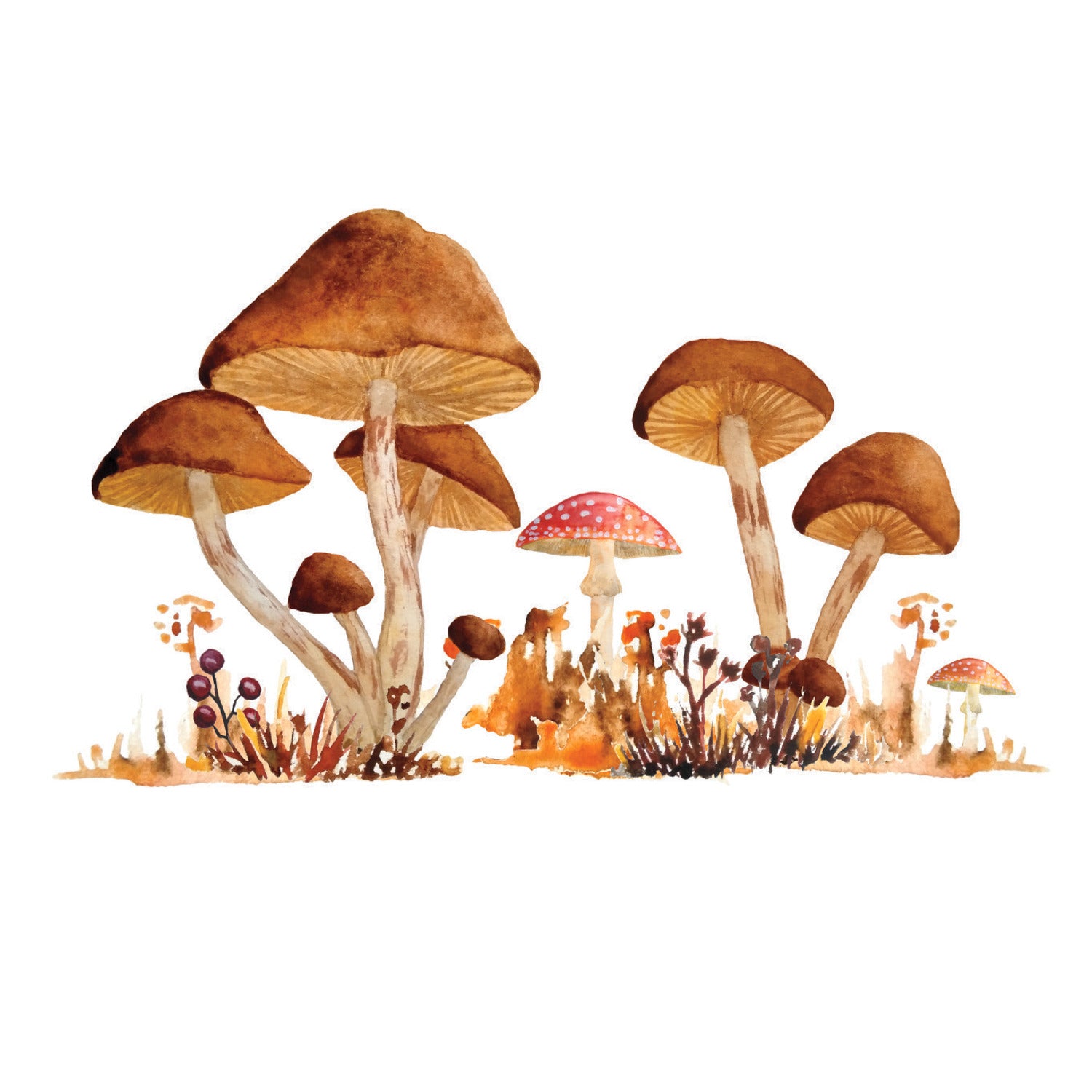 Mushroom Giant Wall Decals by WallPops