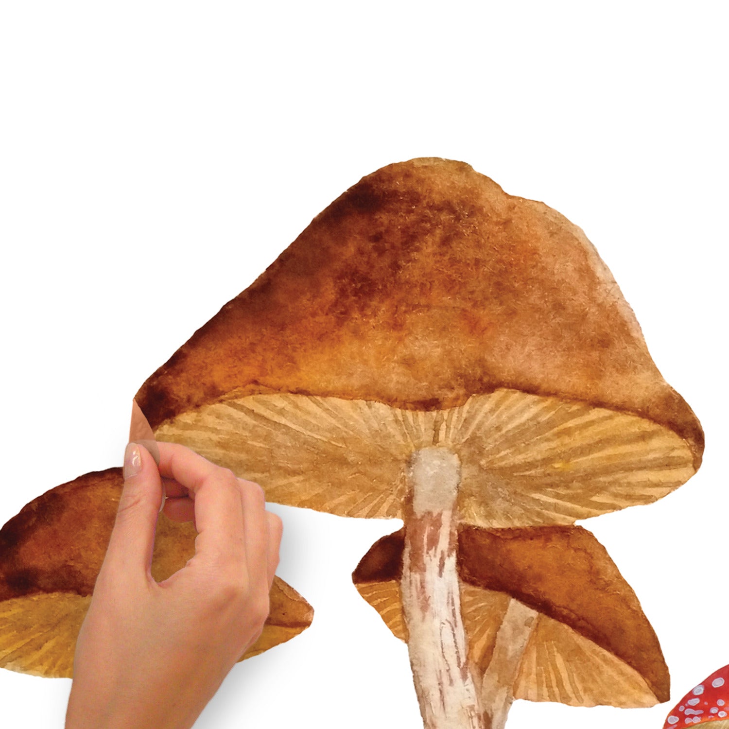 Mushroom Giant Wall Decals - peel and stick application