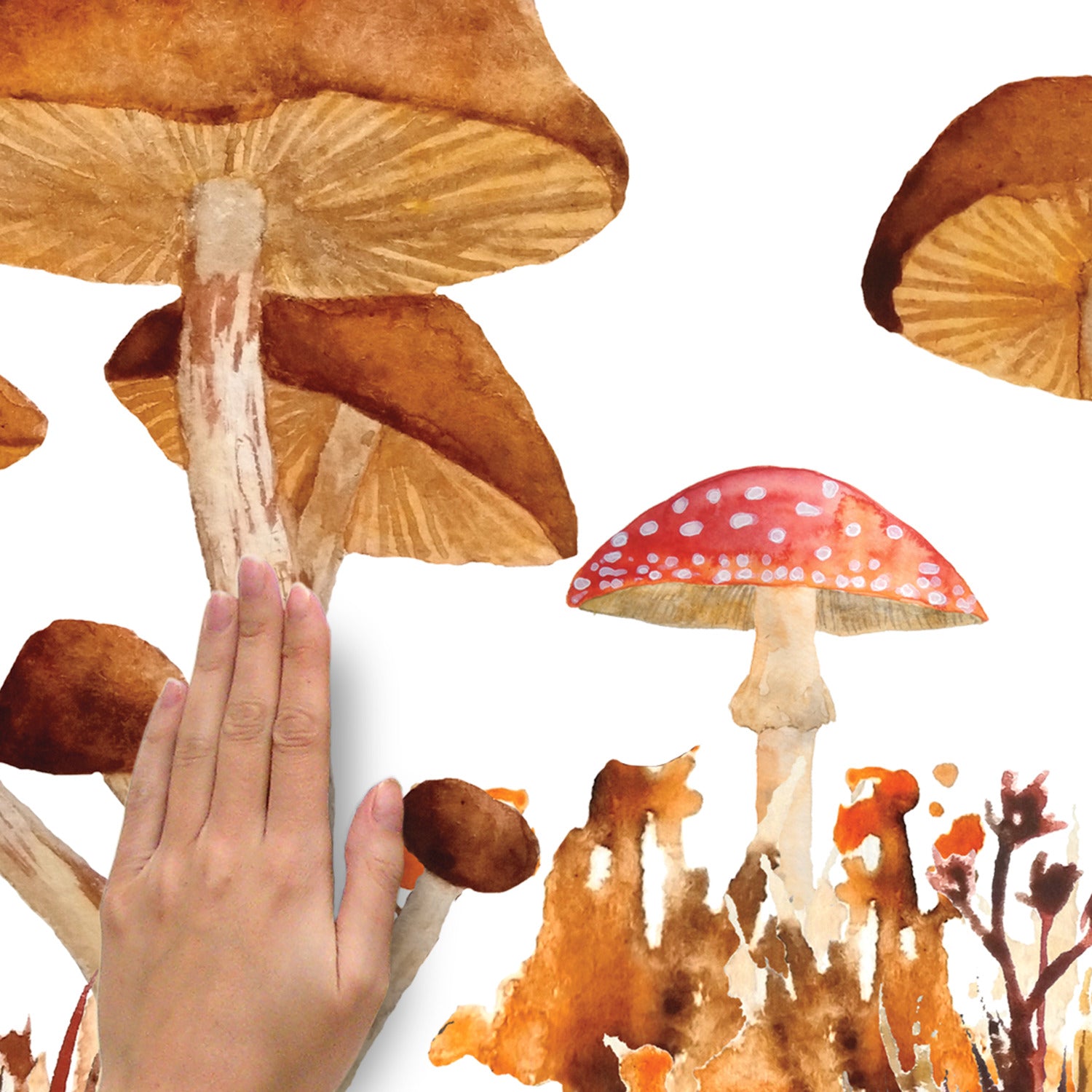 Mushroom Giant Wall Decals - how to stick
