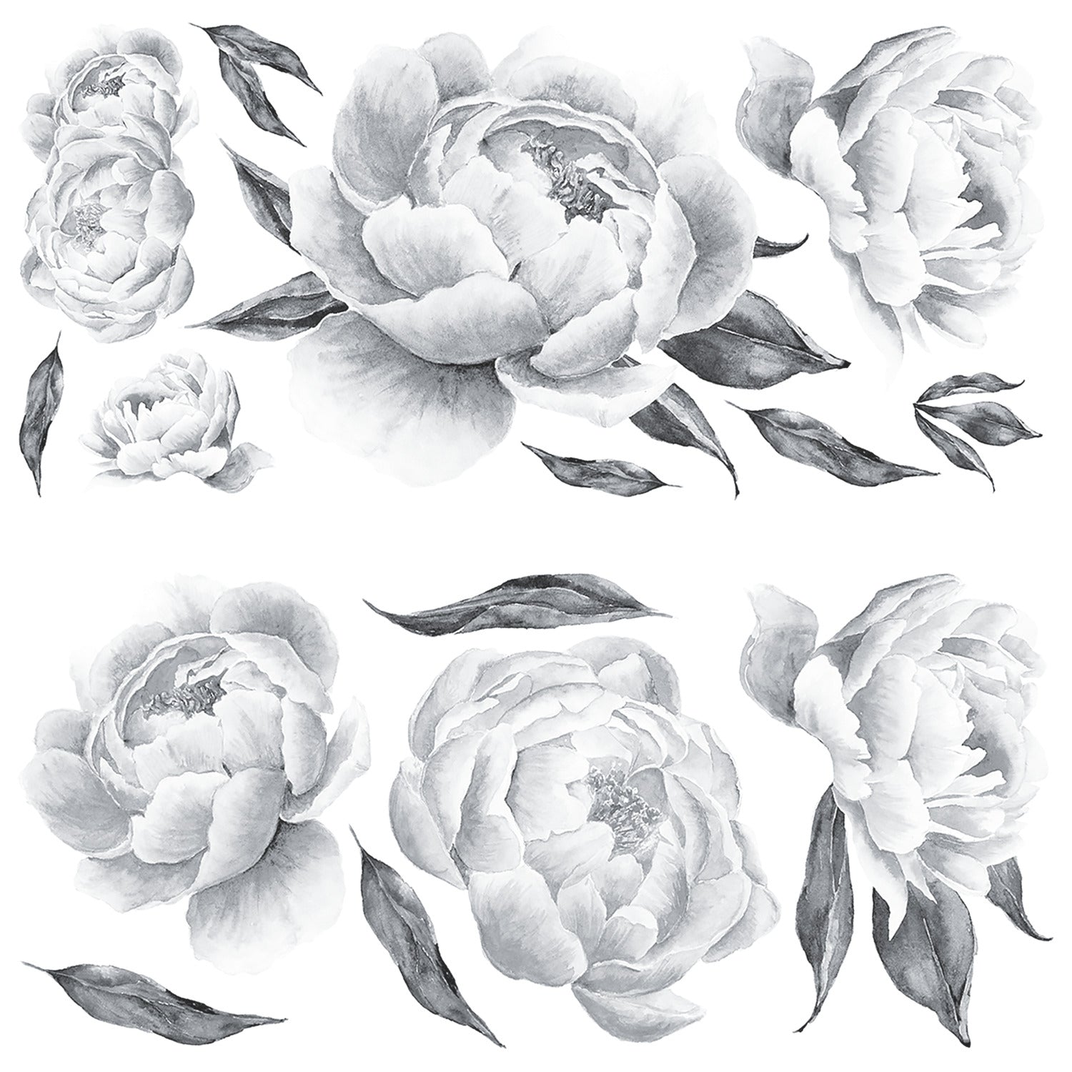 Peonies Giant Wall Decals by WallPops