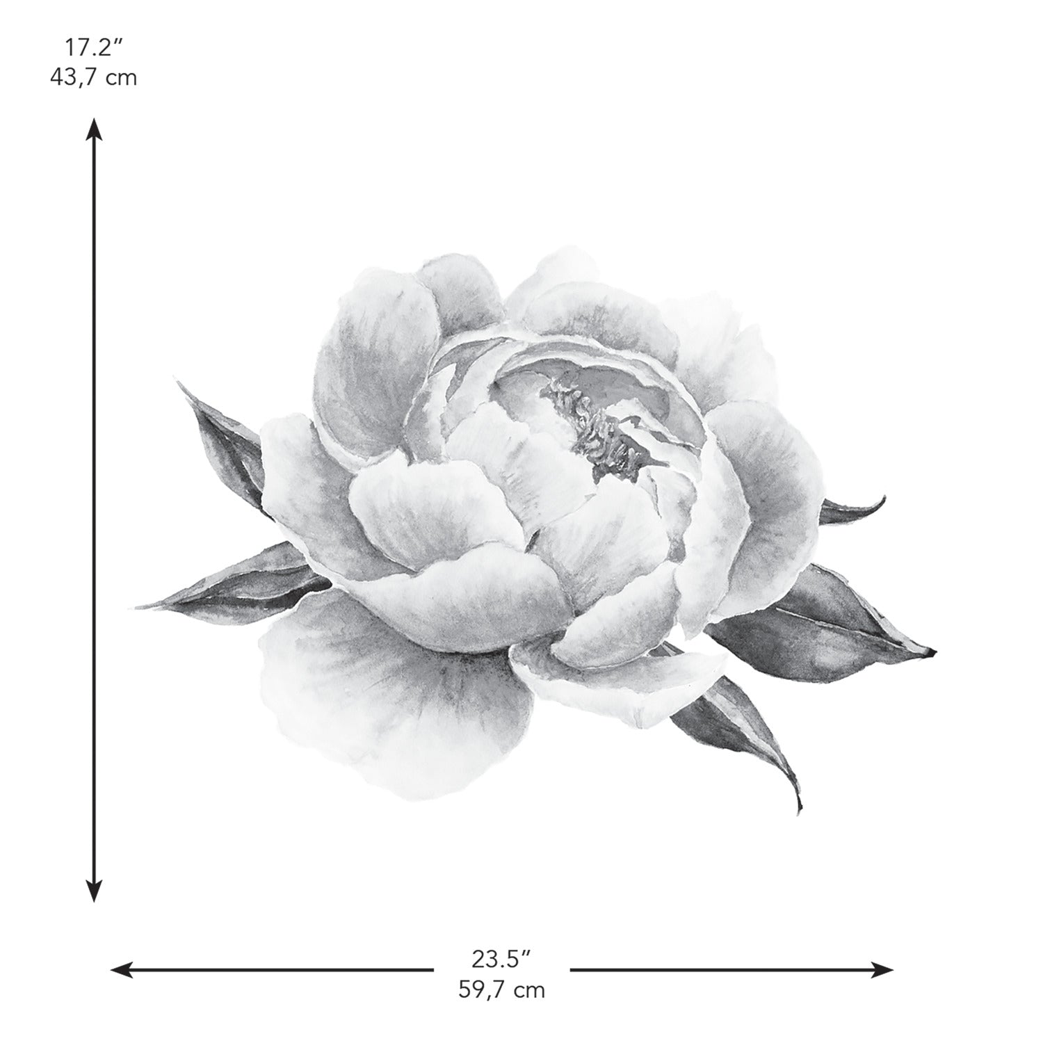 Peonies Giant Wall Decals - dimensions