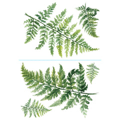 Watercolor Fern Wall Decals - panels