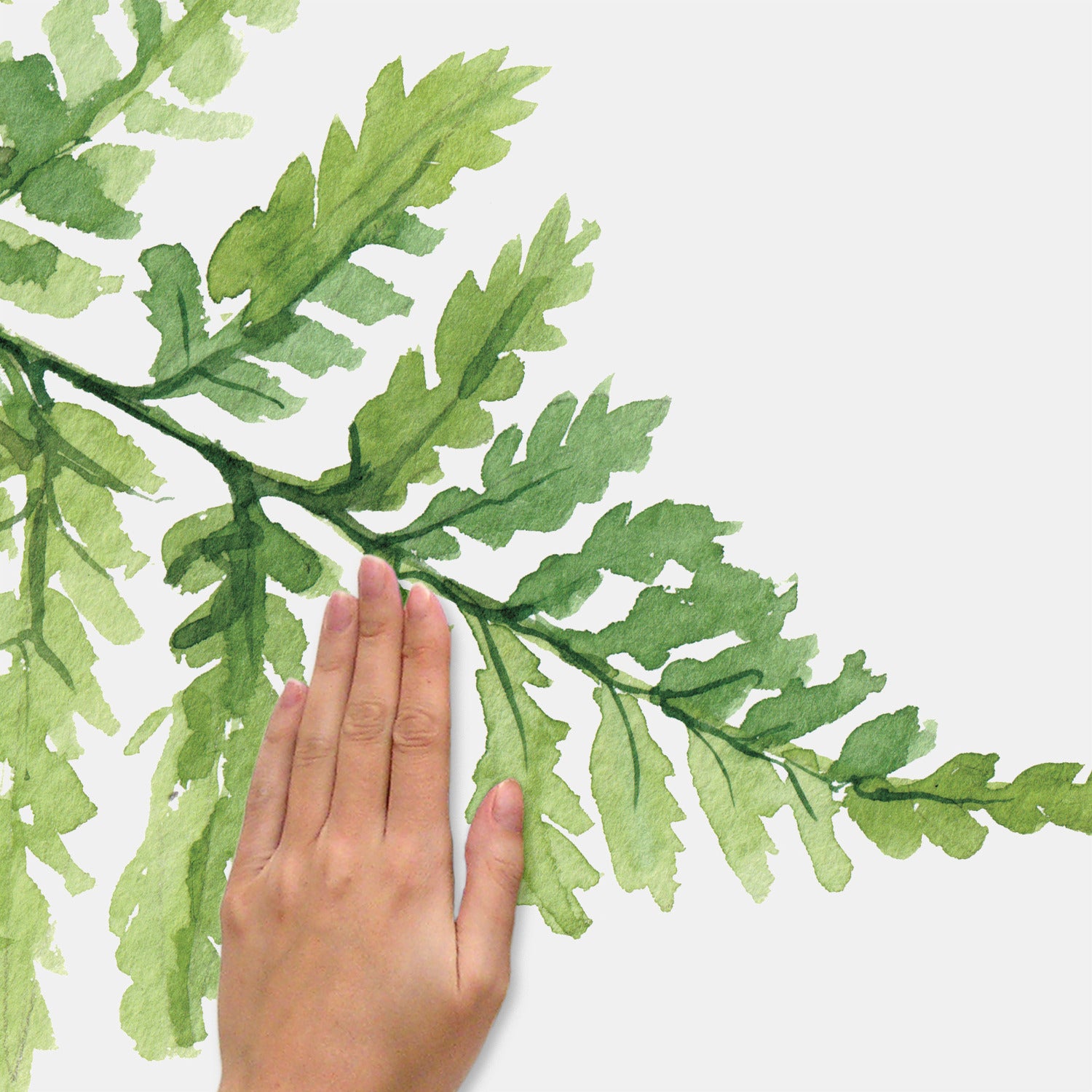 Watercolor Fern Wall Decals - how to stick
