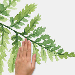 Watercolor Fern Wall Decals - how to stick