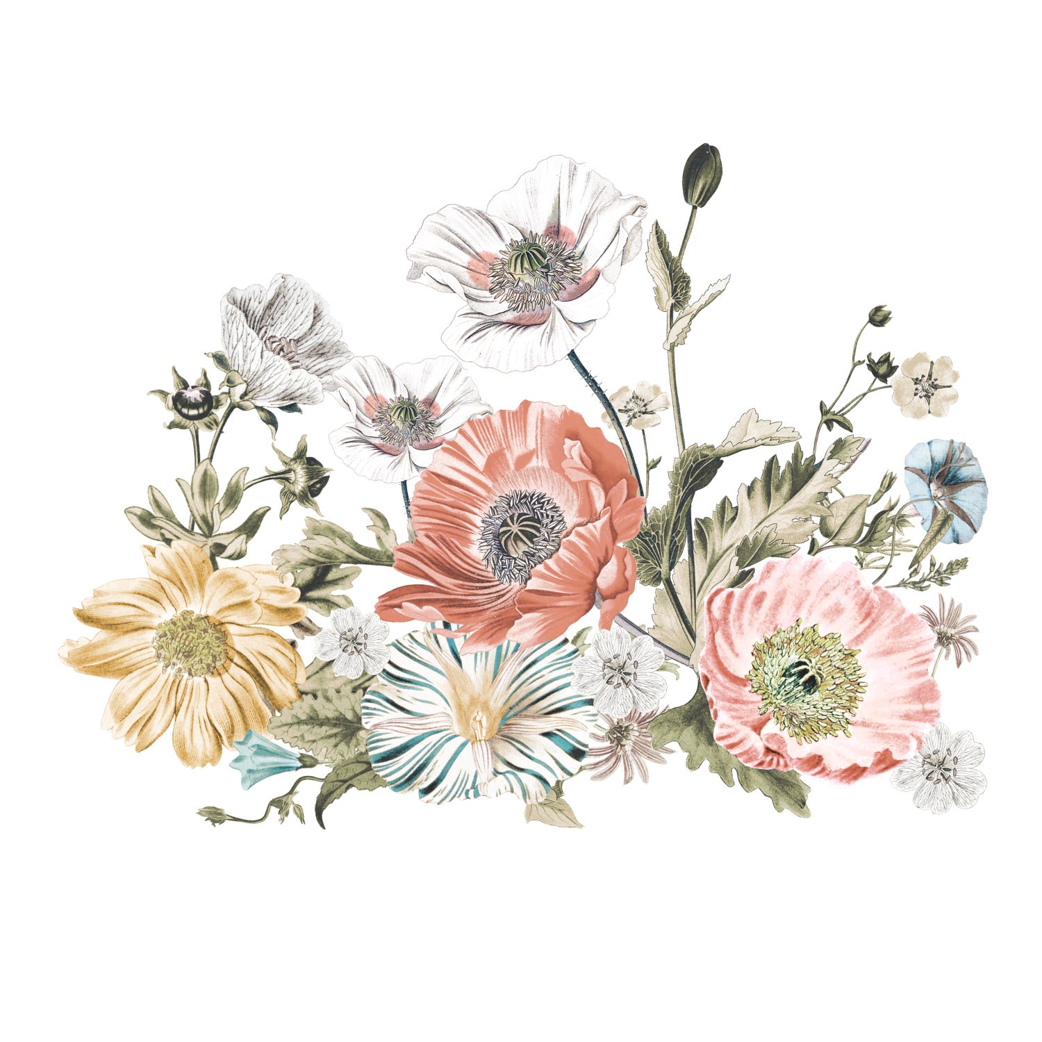 Vintage Poppy Floral Wall Decals by WallPops