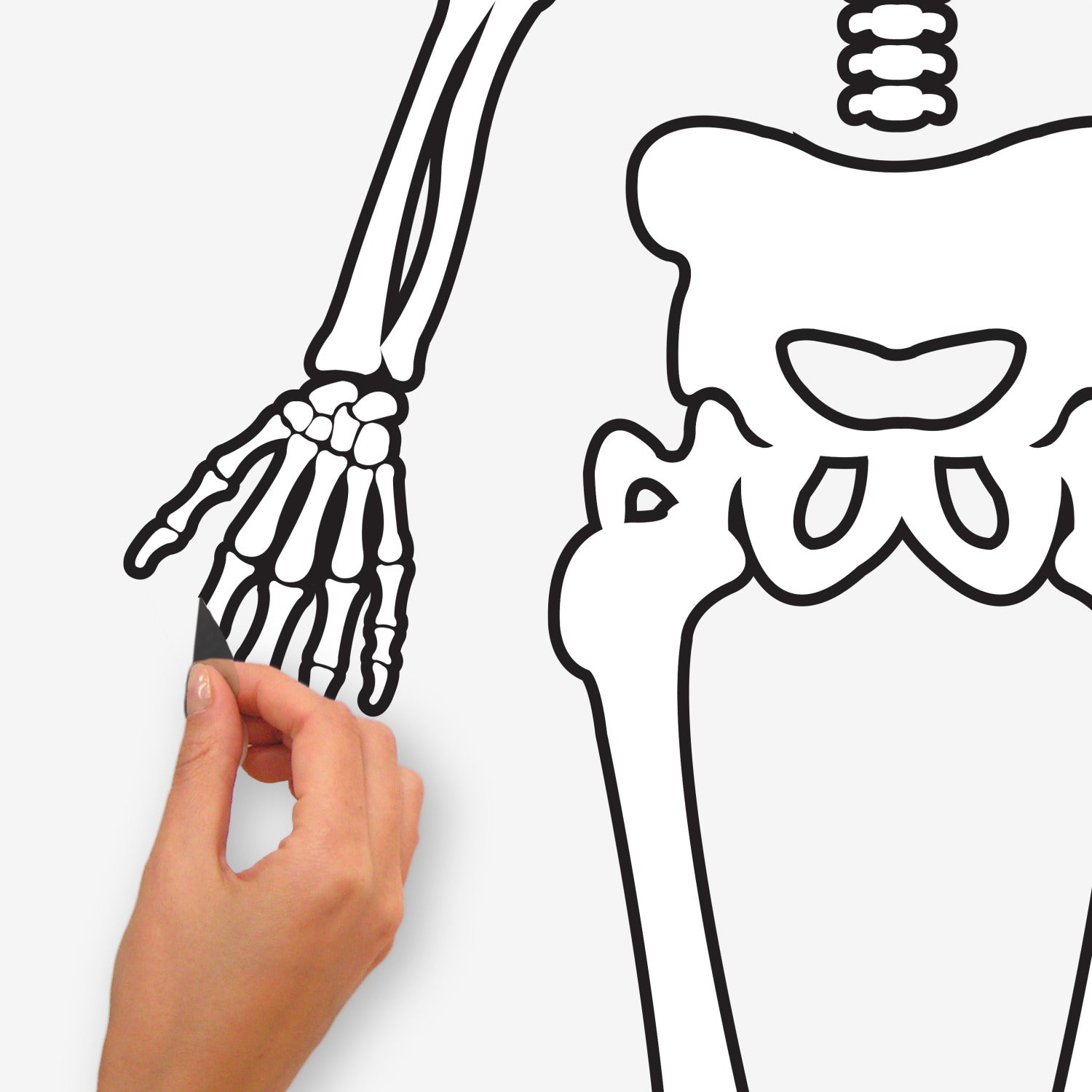 Skeleton Giant Wall Decals - peel and stick