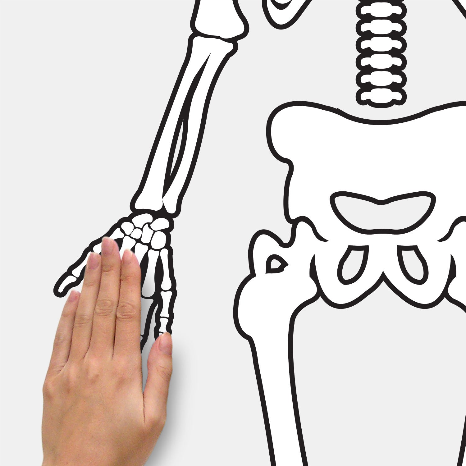 Skeleton Giant Wall Decals - how to stick