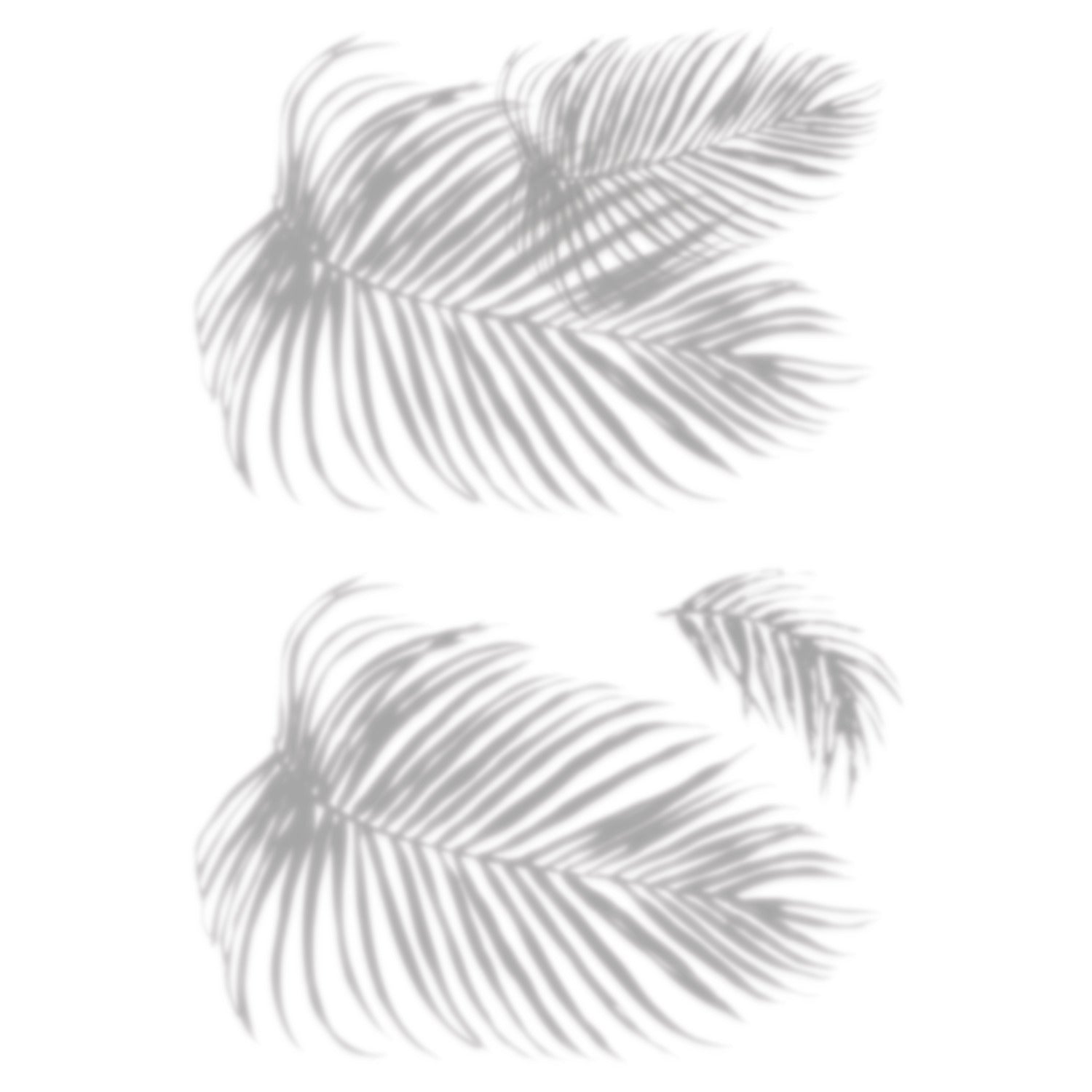 Tropical Shadow Palm Frond Wall Decals by WallPops