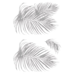 Tropical Shadow Palm Frond Wall Decals by WallPops