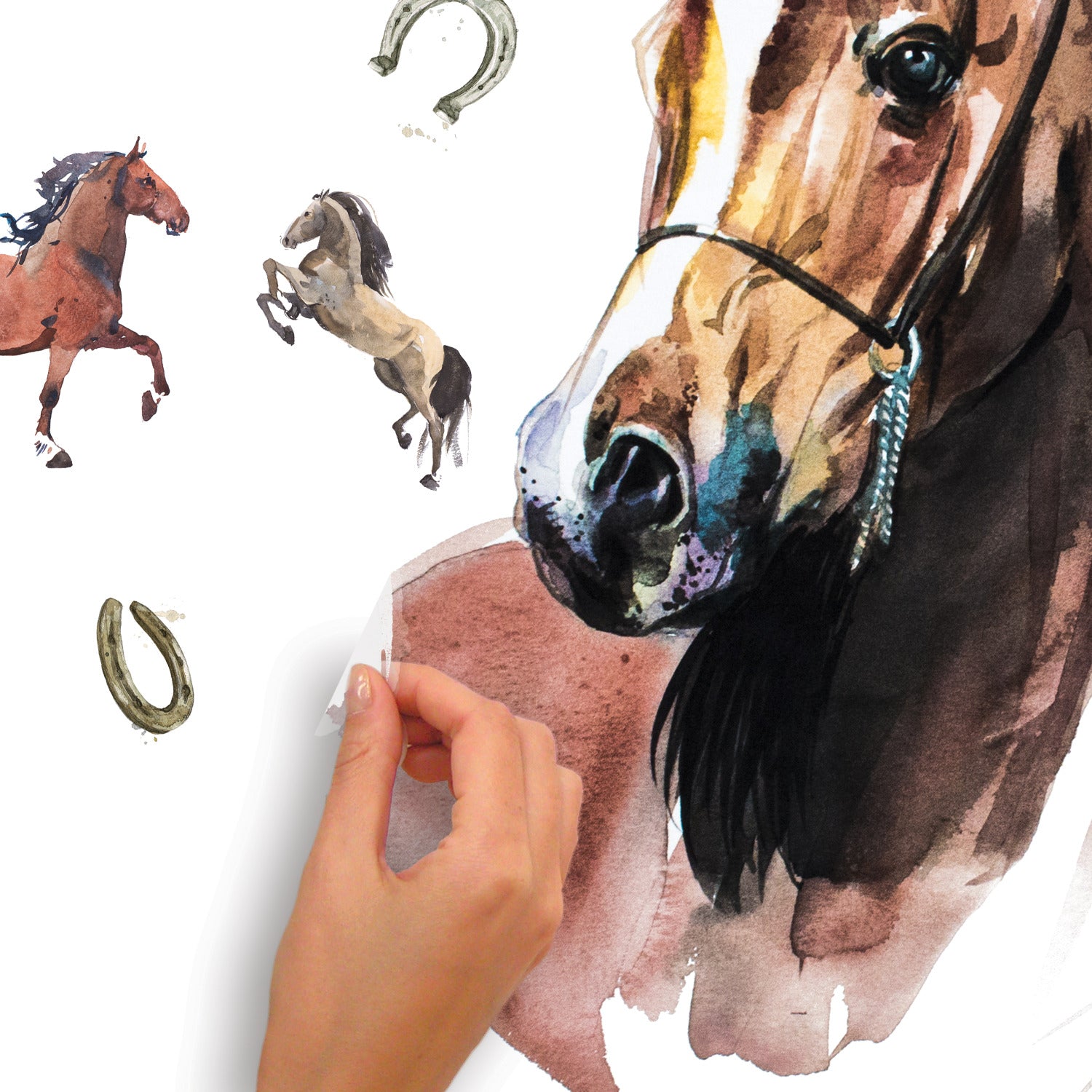 Watercolor Wild Horses Giant Wall Decals - how to peel