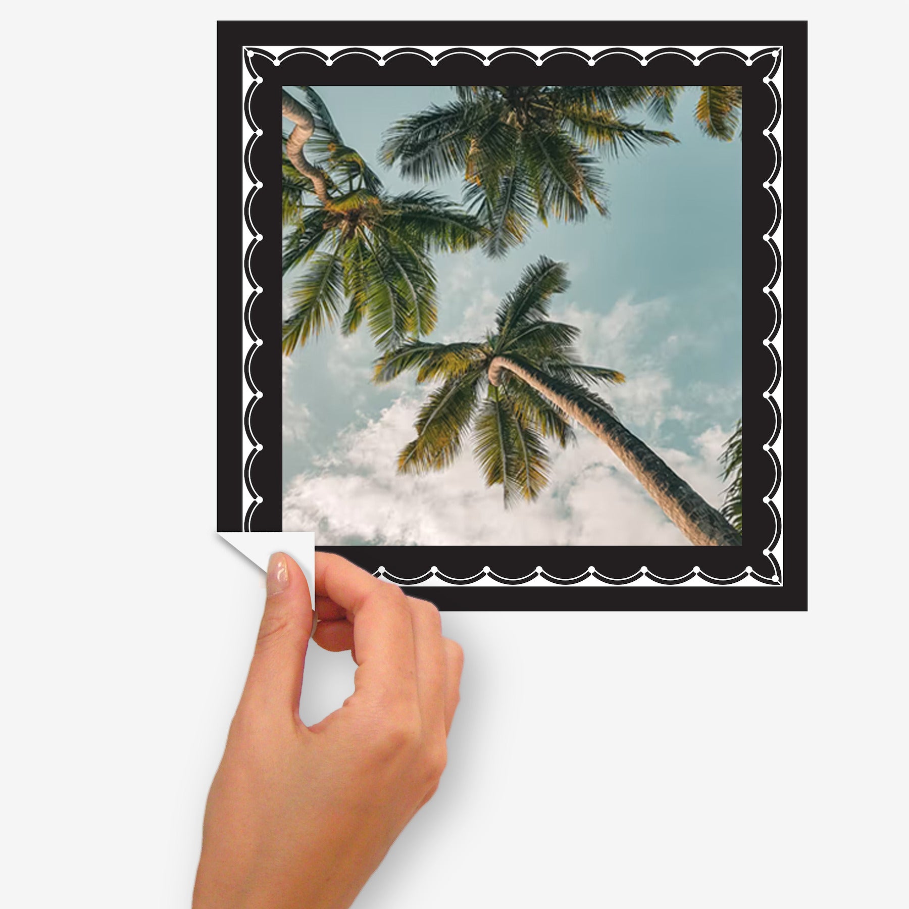 Ornate Gallery Frames Wall Decals - peel and stick application