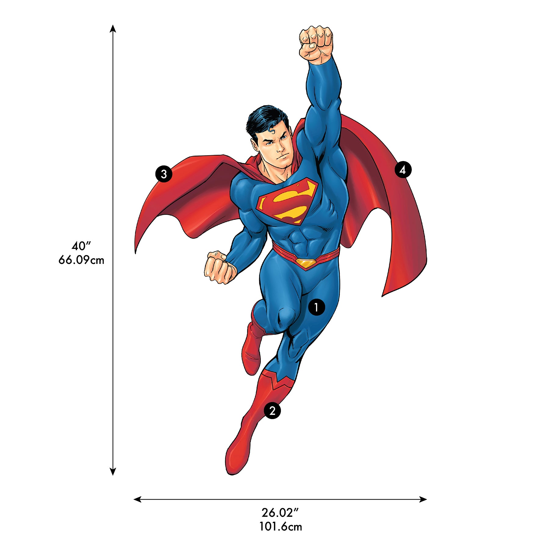 Spy x Family The Forgers Wall Decals - dimensions