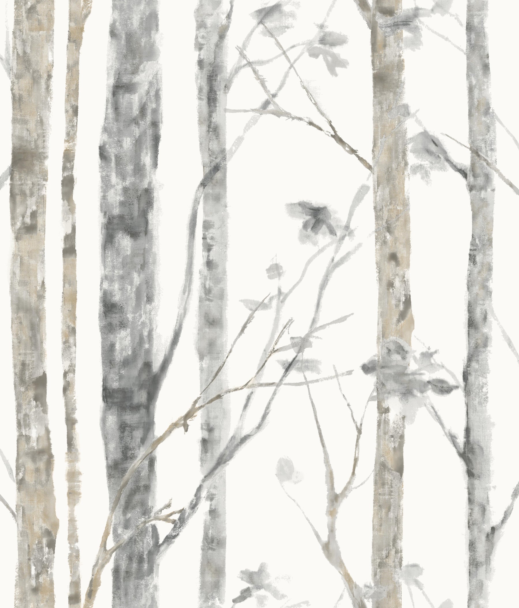 Birch Trees Peel and Stick Wallpaper by WallPops