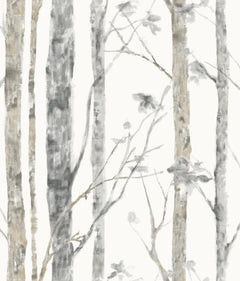Birch Trees Peel and Stick Wallpaper by WallPops