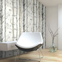 Birch Trees Peel and Stick Wallpaper in a room setting