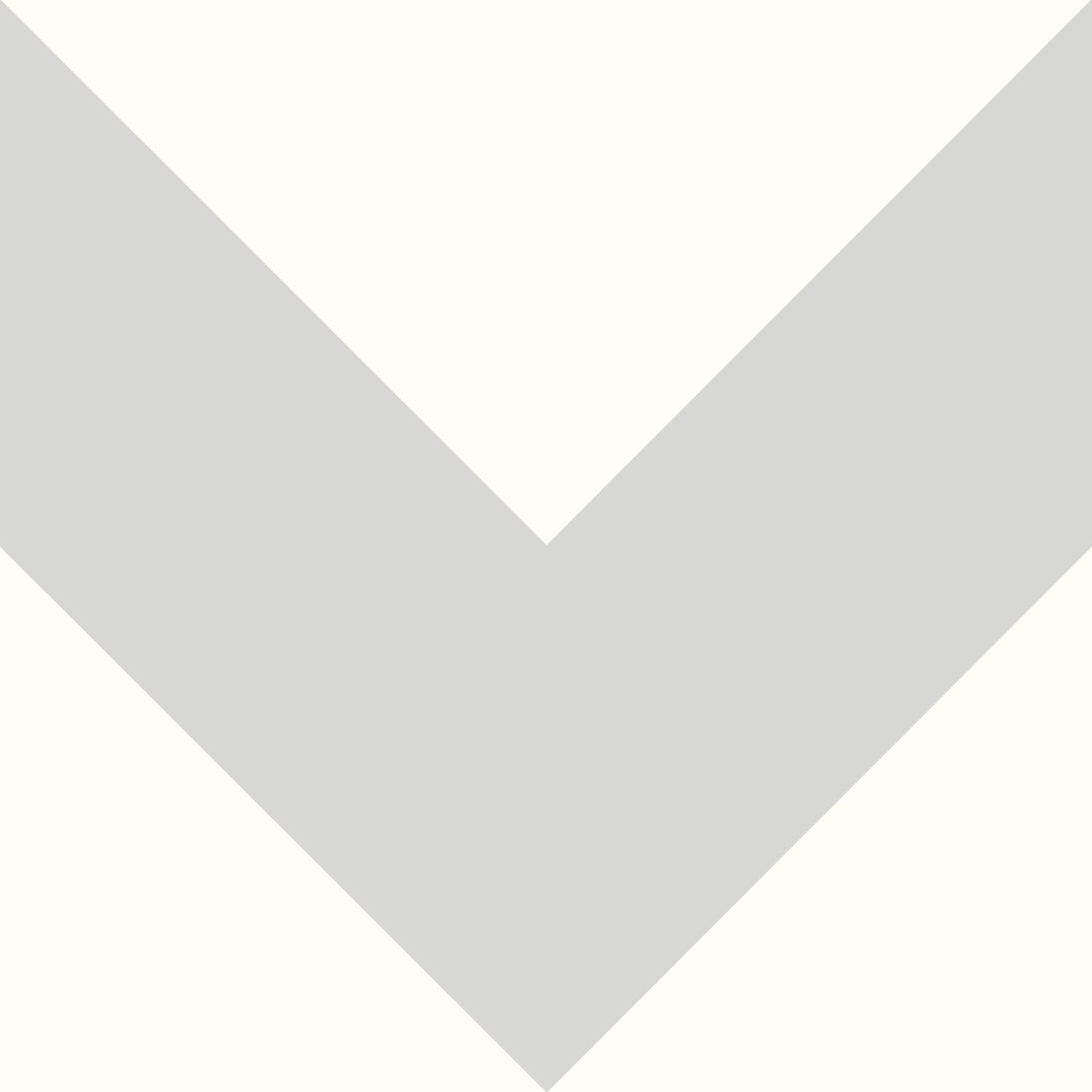 Large Chevron P&S Wallpaper by WallPops