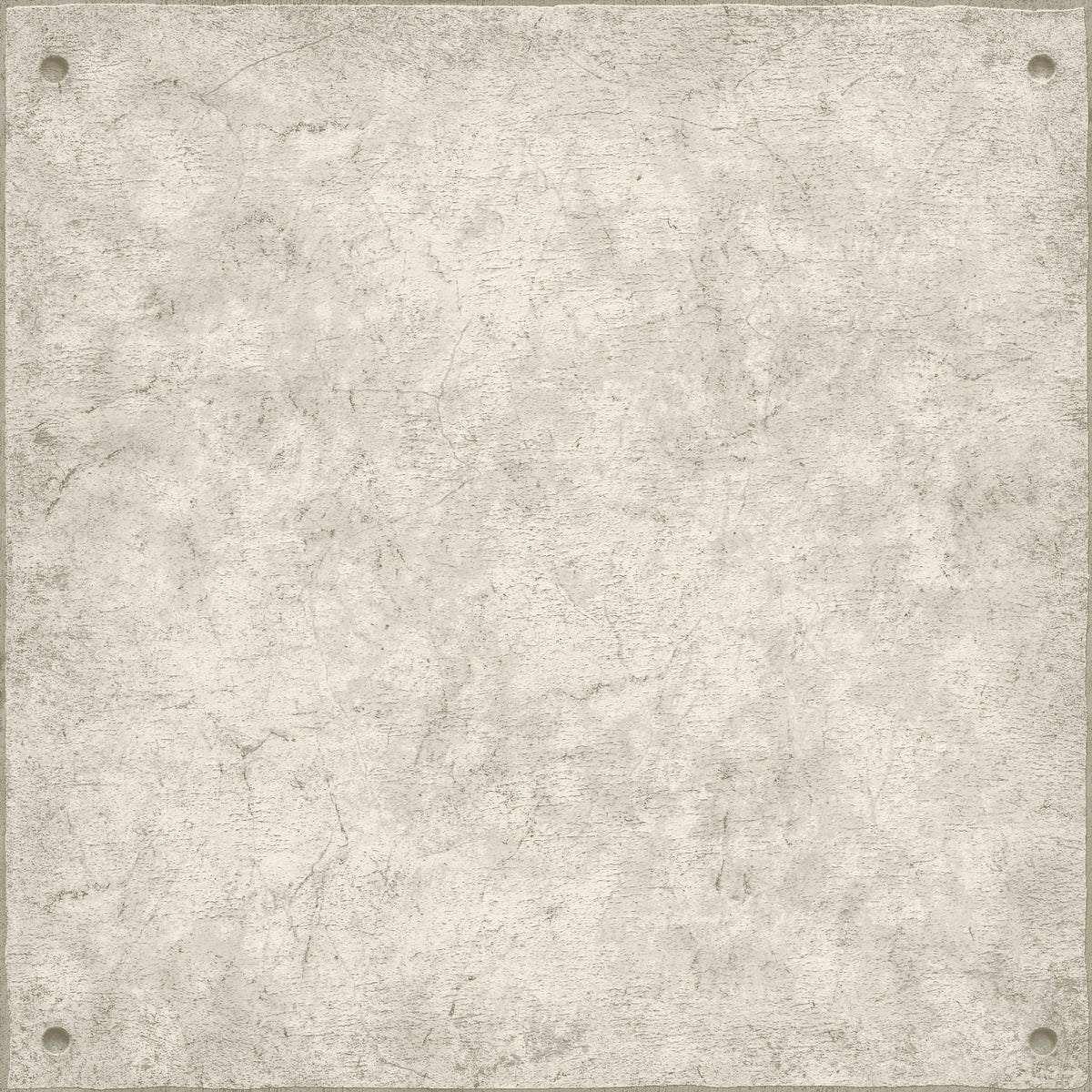 Cement P&S Wallpaper by WallPops