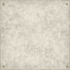 Cement P&S Wallpaper by WallPops
