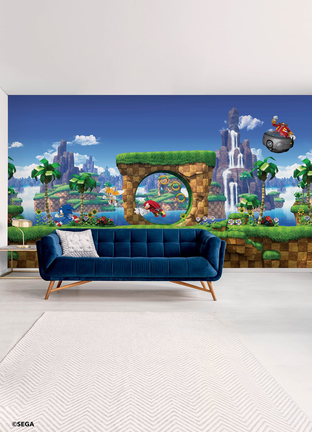 Sonic the Hedgehog Green Hill P&S Wall Murals in a room setting