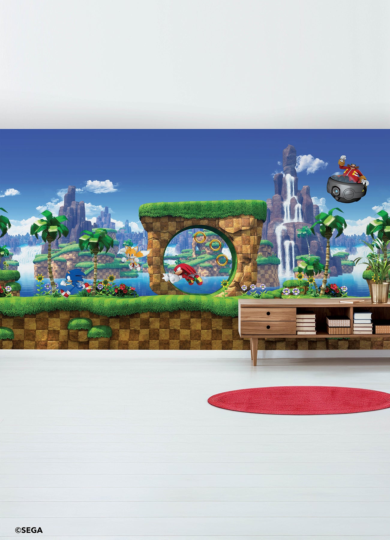 Sonic the Hedgehog Green Hill P&S Wall Murals in a room setting