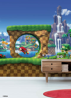 Sonic the Hedgehog Green Hill P&S Wall Murals in a room setting