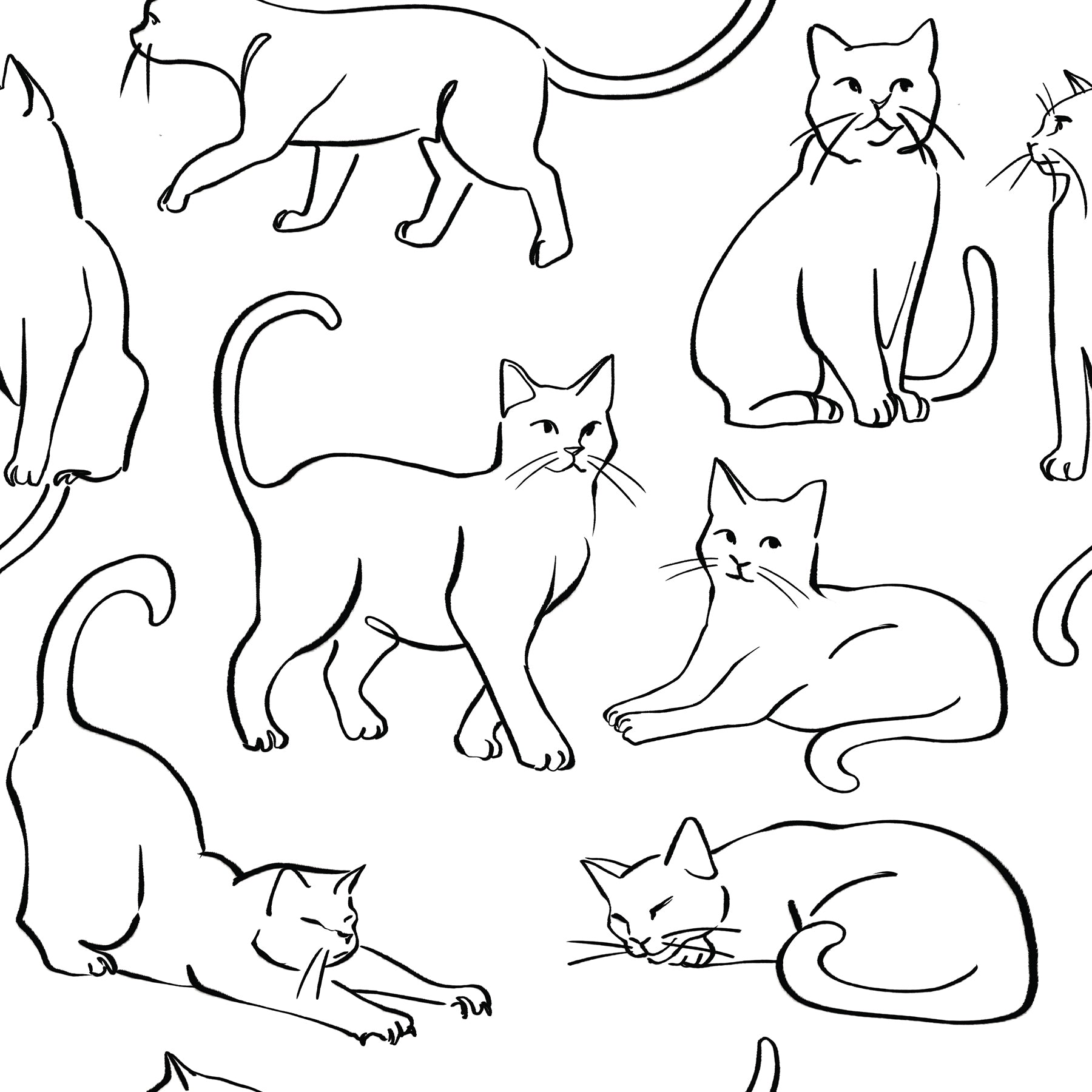 Cat Poses Black and White Peel and Stick Wallpaper by WallPops