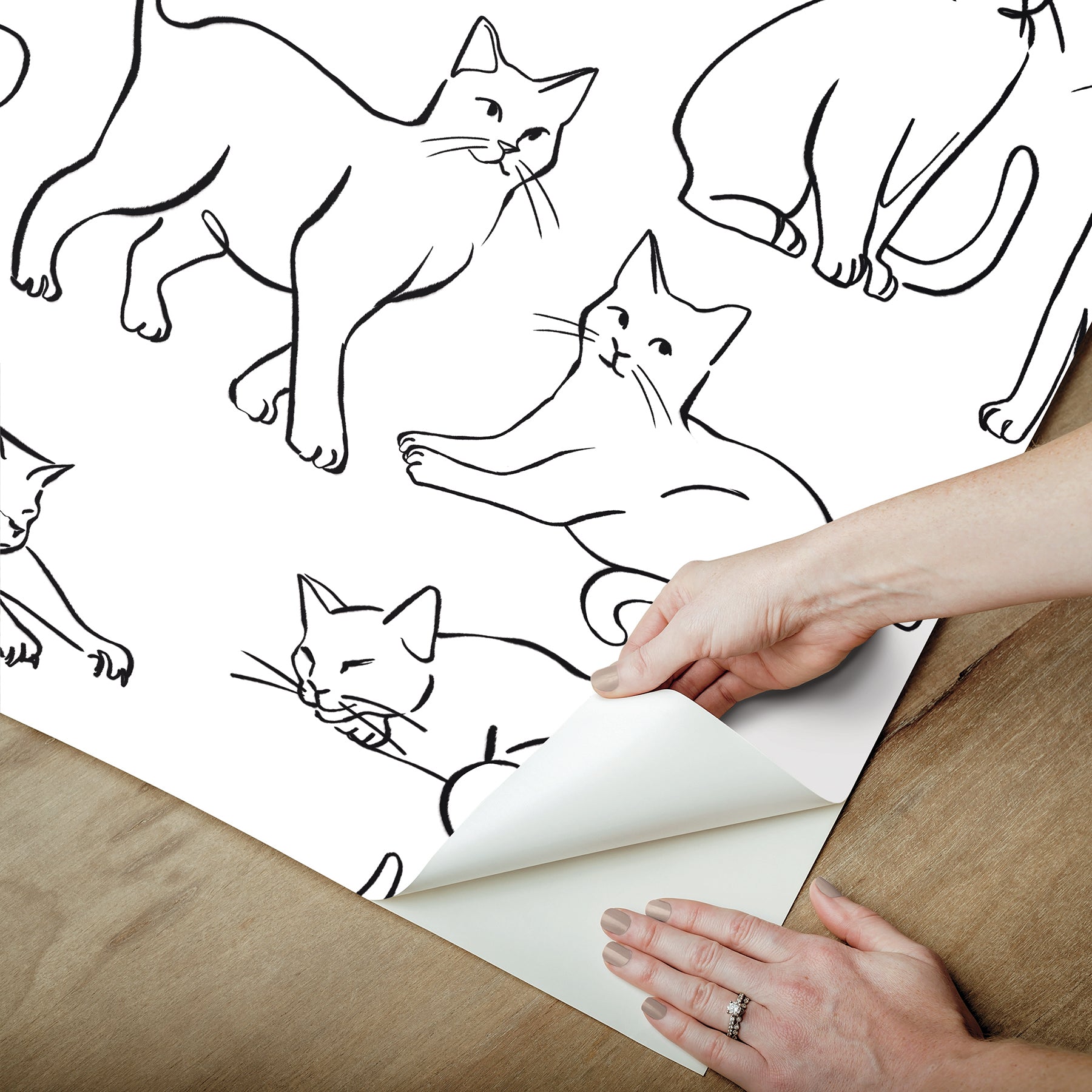 Cat Poses Black and White Peel and Stick Wallpaper - how to peel