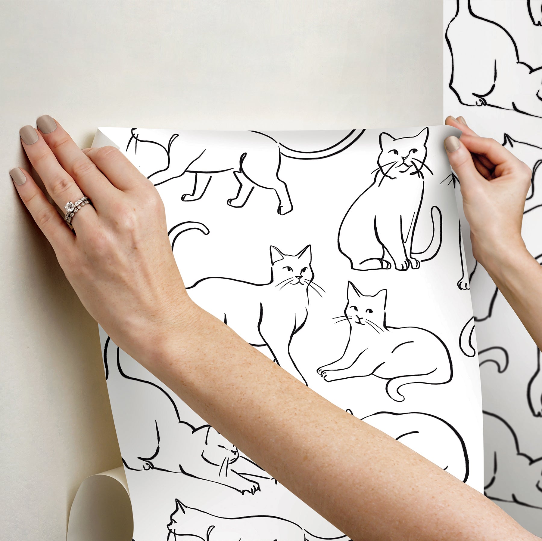 Cat Poses Black and White Peel and Stick Wallpaper - how to stick