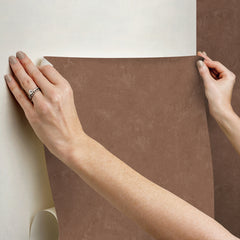 Daphne Limewash P&S Wallpaper stick step