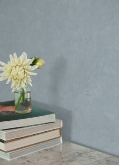 Daphne Limewash P&S Wallpaper in a room setting