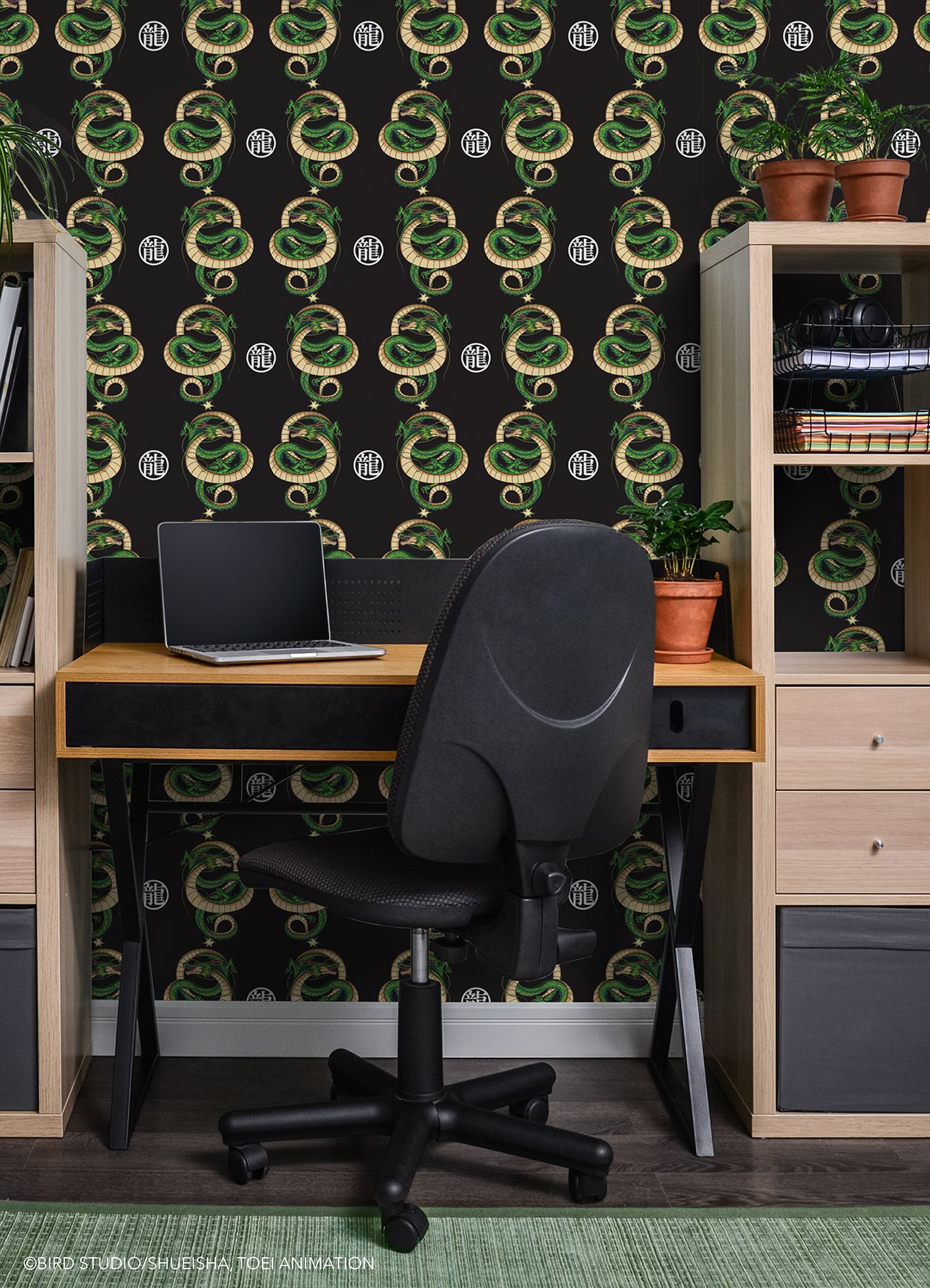 Dragons Peel and Stick Wallpaper in a room setting