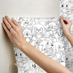 RMWS1331 peel and stick wallpaper - how to stick