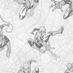Spider-man Webs P&S Wallpaper by WallPops