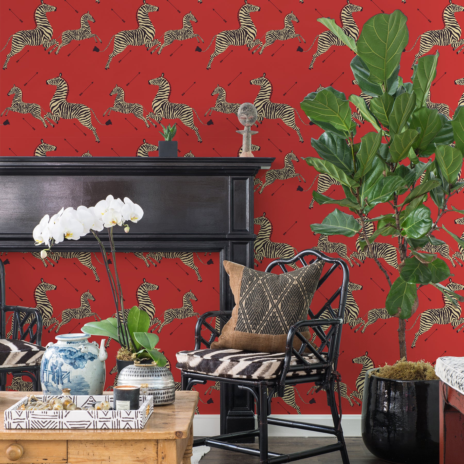 Zebra Safari P&S Wallpaper in a room setting