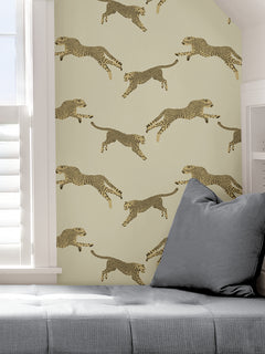 Leeping Cheetah Peel and Stick Wallpaper in a room setting