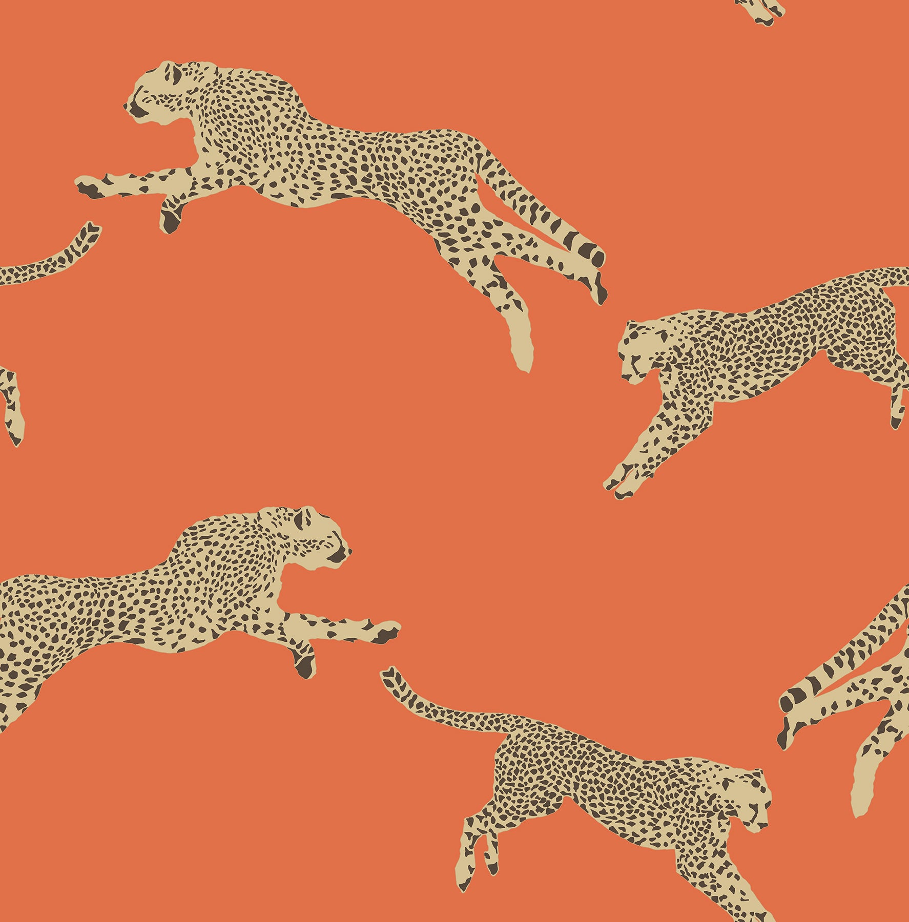 Leeping Cheetah Peel and Stick Wallpaper by WallPops