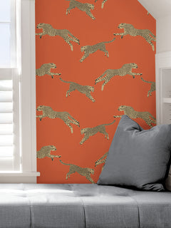 Leeping Cheetah Peel and Stick Wallpaper in a room setting