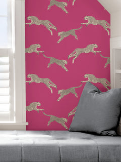 Leeping Cheetah Peel and Stick Wallpaper in a room setting