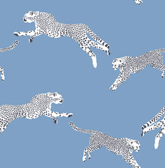 Leeping Cheetah Peel and Stick Wallpaper by WallPops