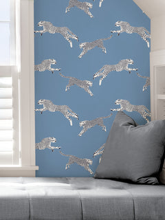 Leeping Cheetah Peel and Stick Wallpaper in a room setting