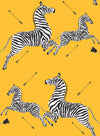 Zebra Safari P&S Wallpaper by WallPops