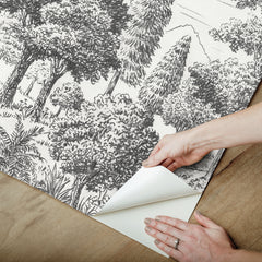 Sylva P&S Wall Murals - how to peel