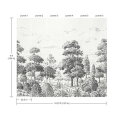 Sylva P&S Wall Murals - dimensions