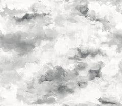Nimbus P&S Wall Murals by WallPops
