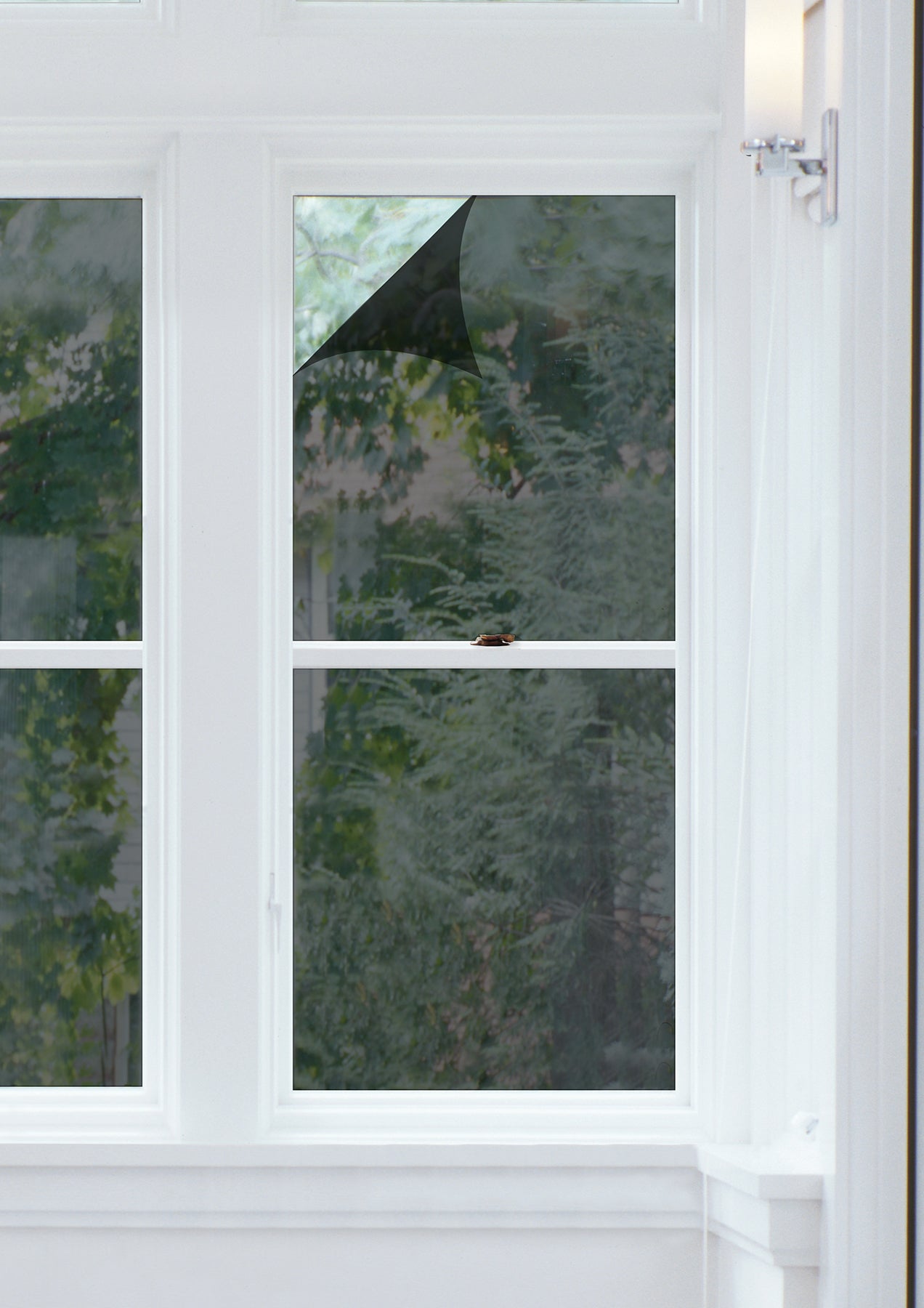 Black Energy Film Window Film in a room setting