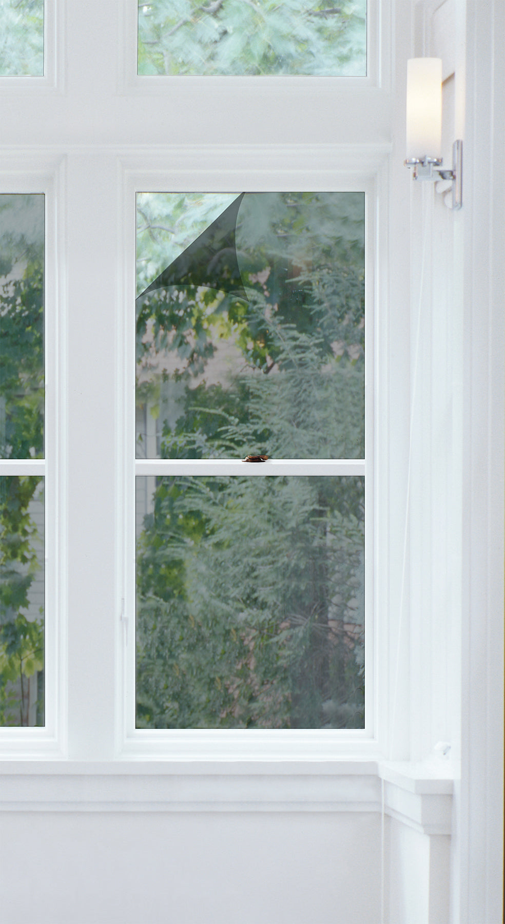 Mirror Energy Film Window Film in a room setting