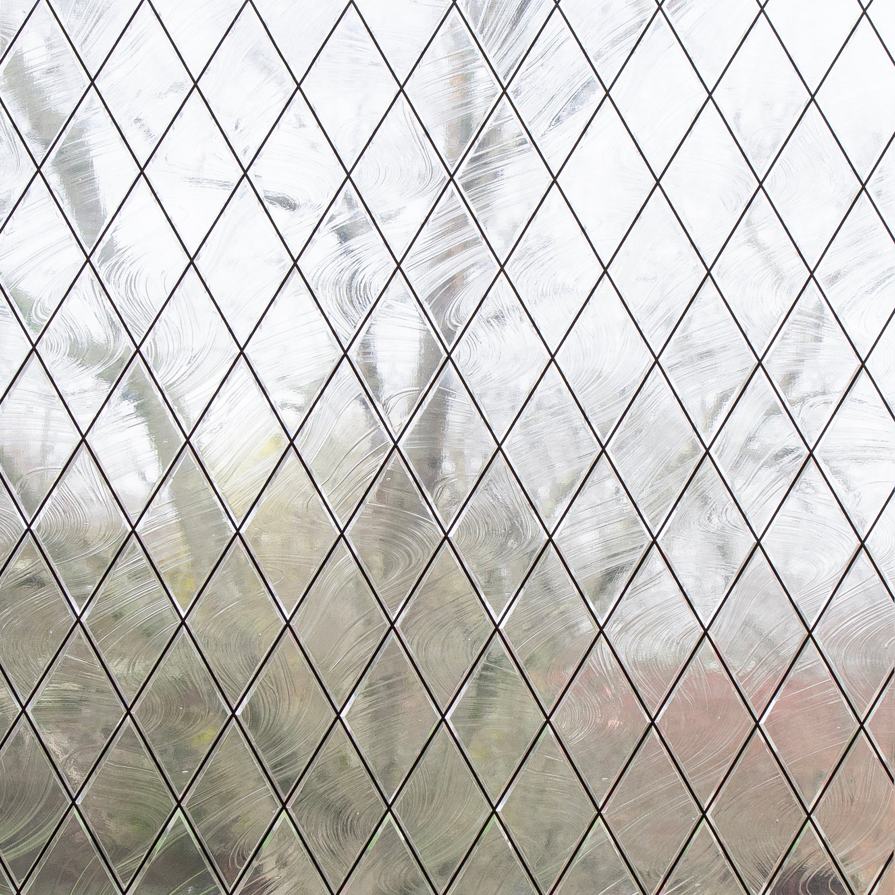 Cora Window Film by WallPops