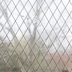 Cora Window Film by WallPops