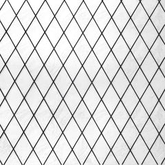 Cora Window Film by WallPops